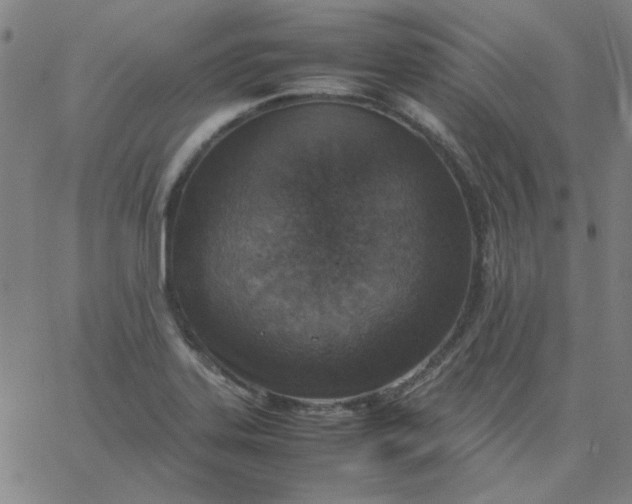 X0000067381323200604131857
