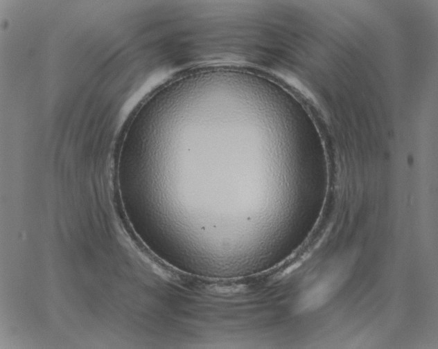 X0000067381325200604131857