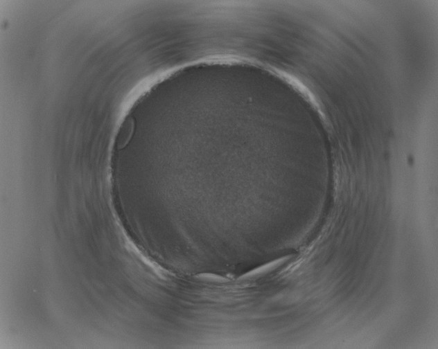 X0000067381327200604131857