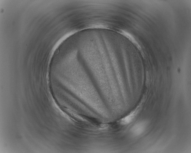 X0000067381331200604131857
