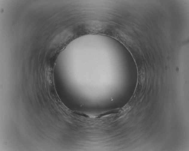 X0000067381346200604131856