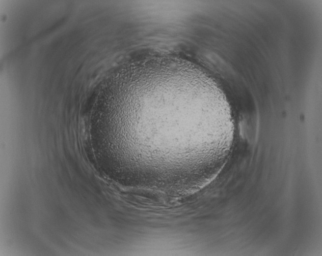 X0000067381347200604131856