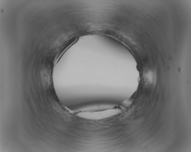 X0000067381348200604131856