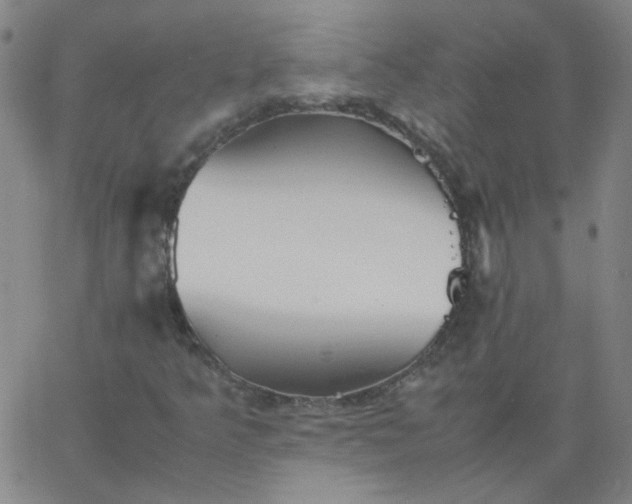 X0000067381349200604131856