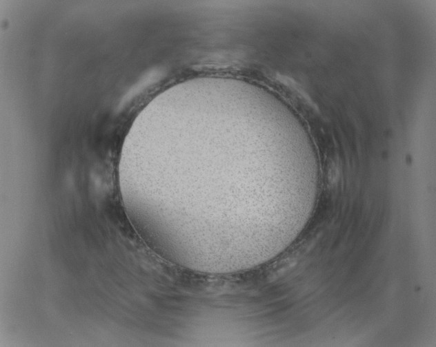X0000067381350200604131856