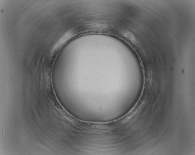 X0000067381354200604131856
