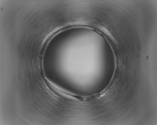 X0000067381356200604131856