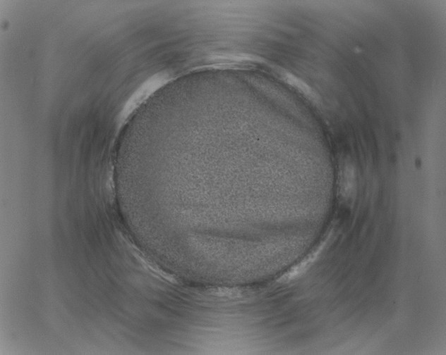 X0000067381362200604131856
