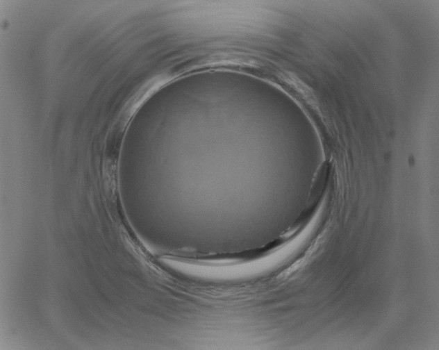 X0000067381369200604131856