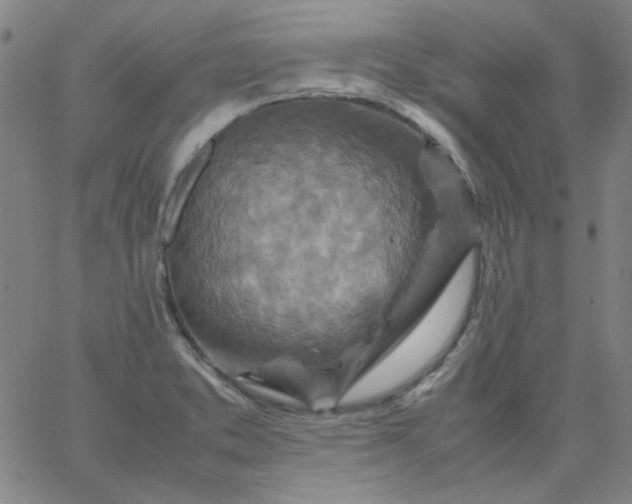 X0000067381373200604131856