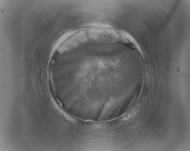 X0000067381381200604131856