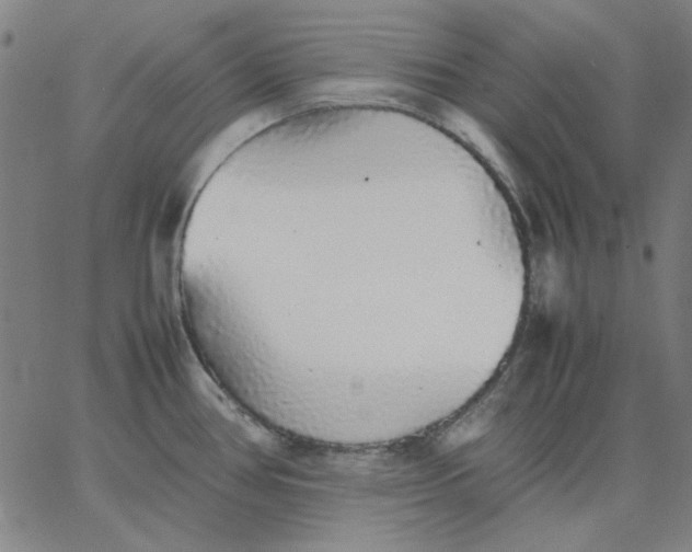 X0000067381386200604131855
