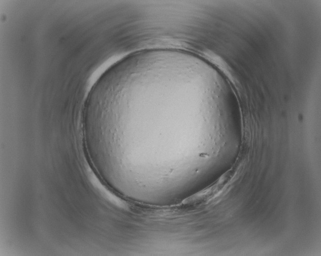 X0000067381387200604131855