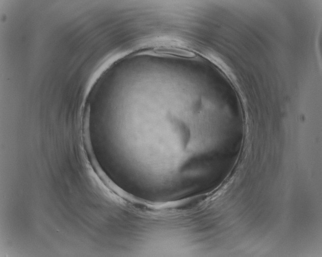 X0000067381392200604131855
