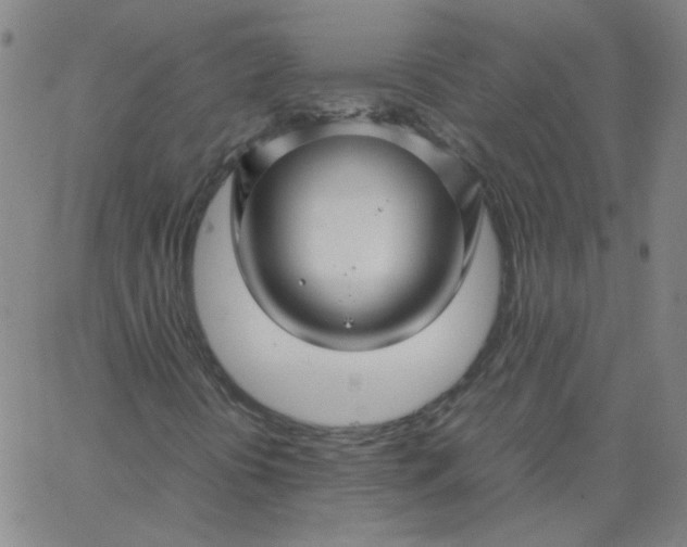 X0000067381394200604131855