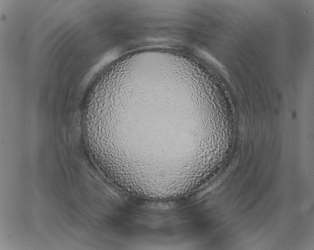 X0000067381411200604131855