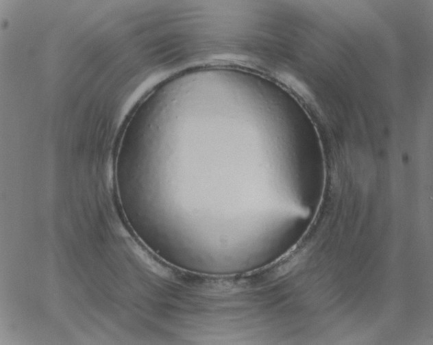 X0000067381420200604131855