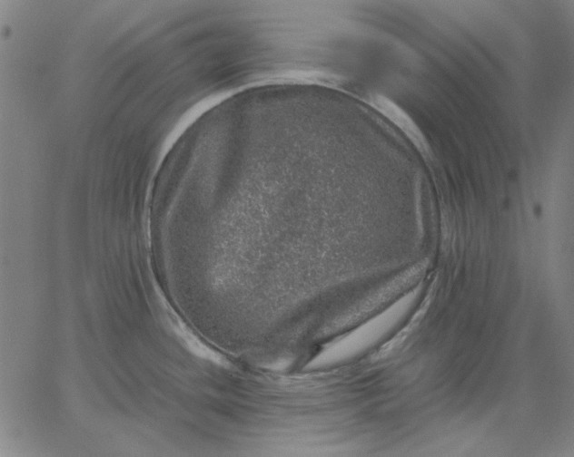 X0000067381436200604131855