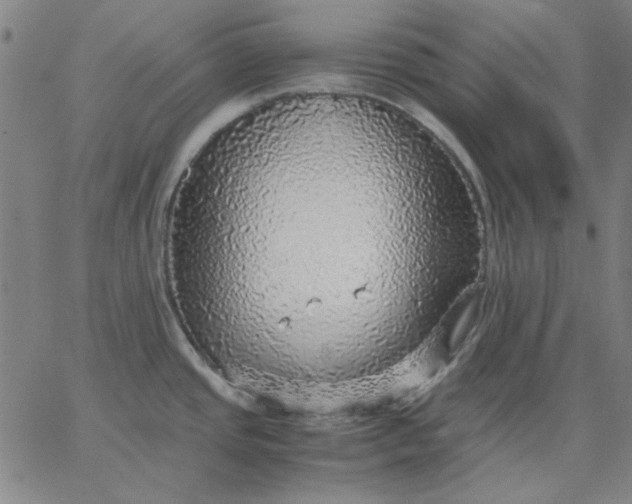 X0000067381437200604131855