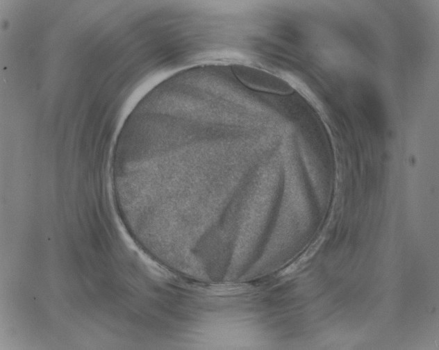 X0000067381440200604131855