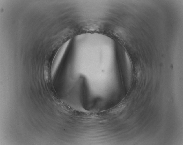 X0000067381442200604131855