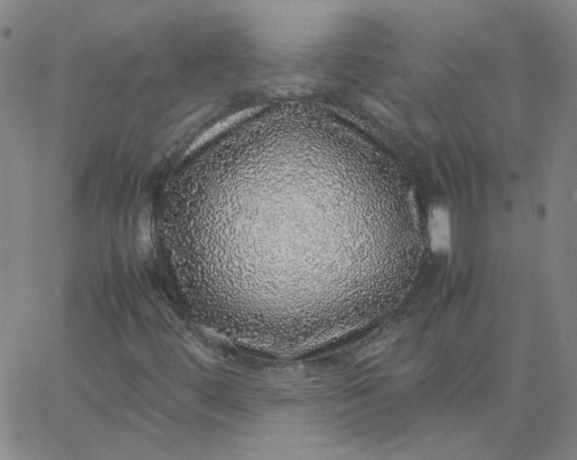 X0000067381444200604131855