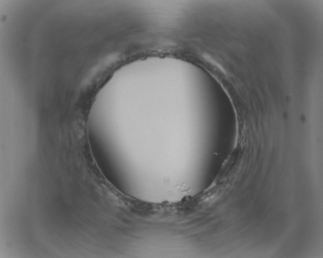 X0000067381447200604131854