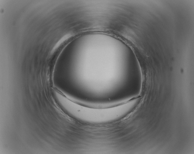 X0000067381450200604131854