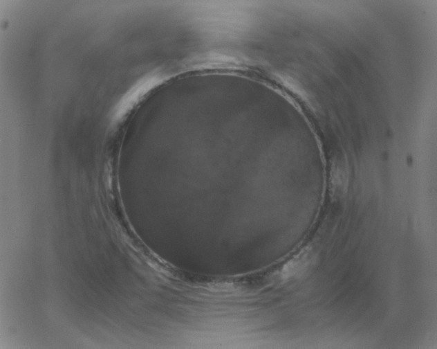 X0000067381455200604131854