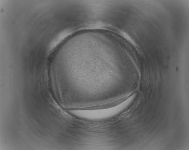 X0000067381456200604131854