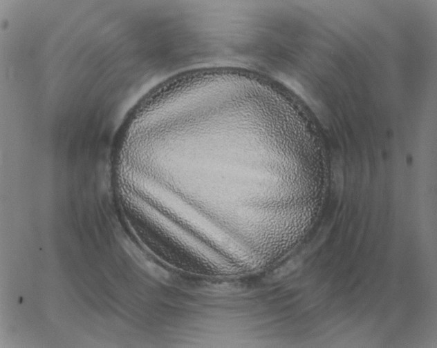 X0000067381460200604131854