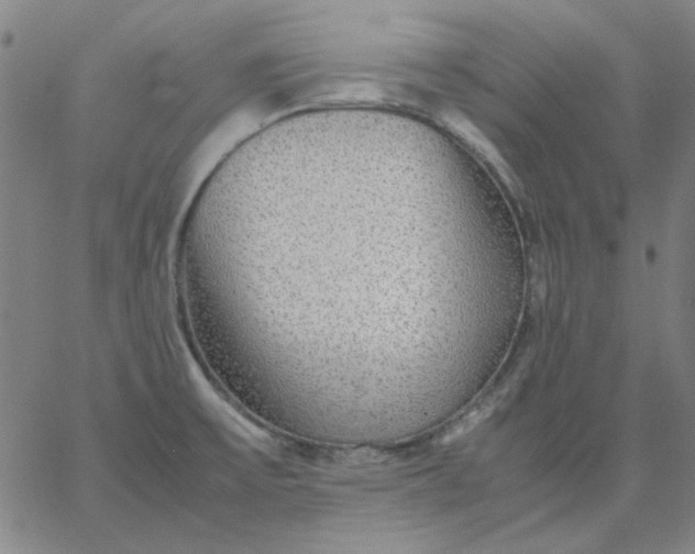 X0000067381475200604131854