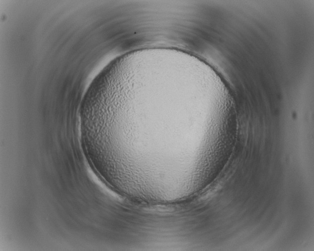 X0000067381476200604131854