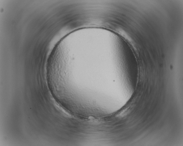 X0000067381480200604131854