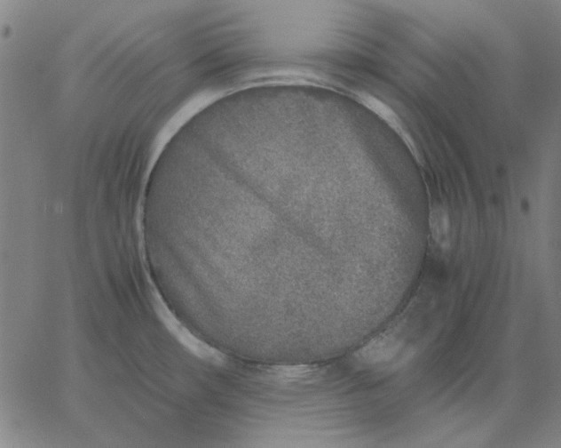 X0000067381482200604131854