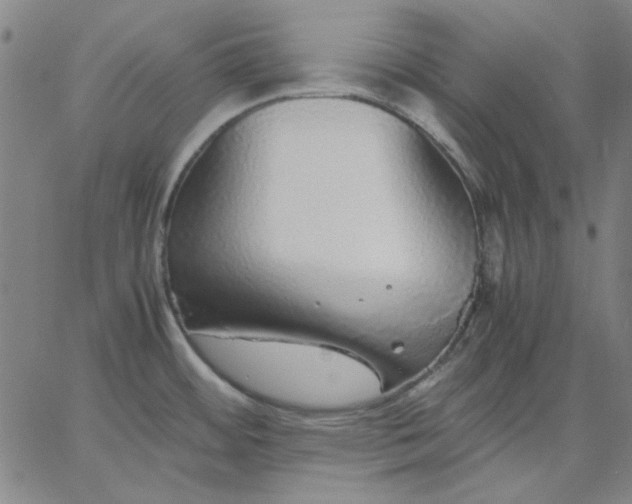 X0000067381484200604131854