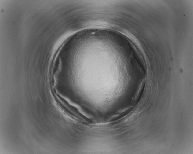 X0000067381488200604131854