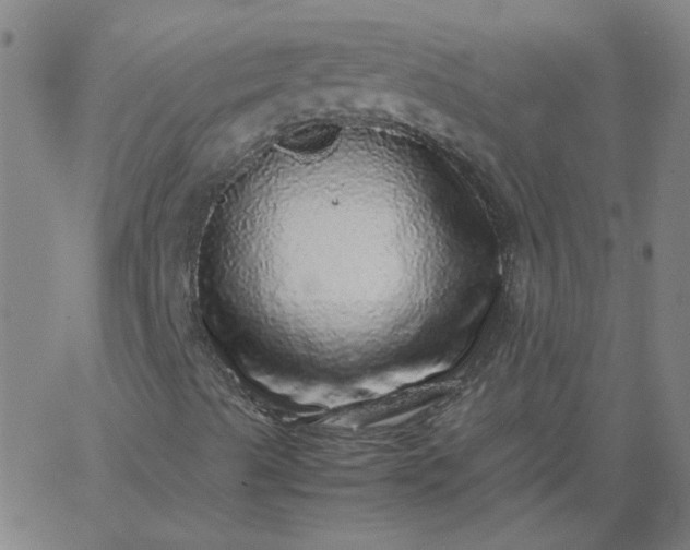 X0000067381489200604131853