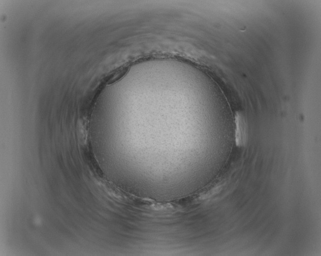 X0000067381491200604131853