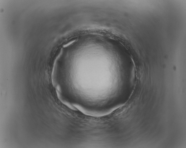 X0000067381493200604131853