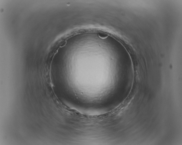 X0000067381494200604131853