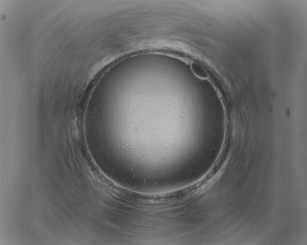 X0000067381497200604131853
