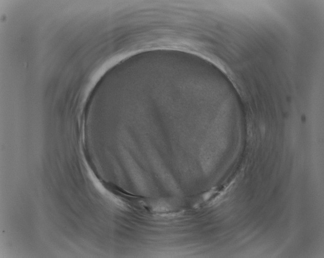 X0000067381515200604131853