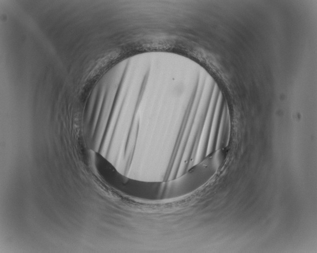 X0000067380017200604211619