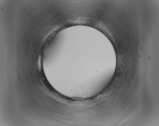 X0000067380020200604211619