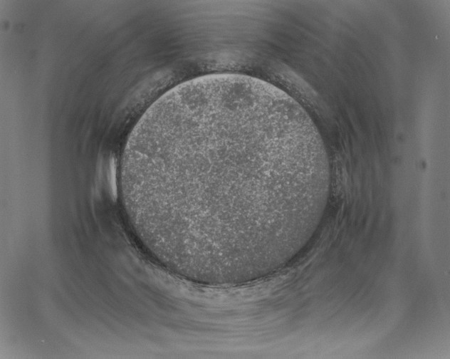 X0000067380022200604211619