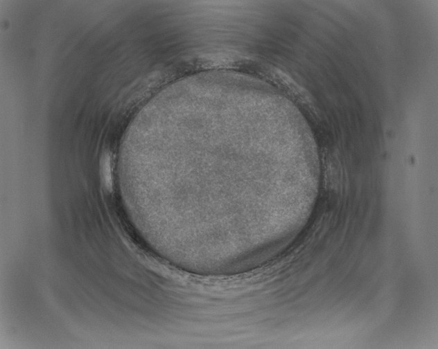 X0000067380026200604211619