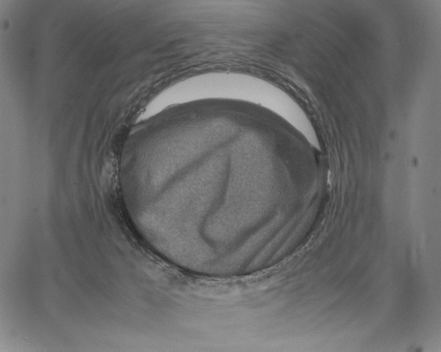 X0000067380029200604211619