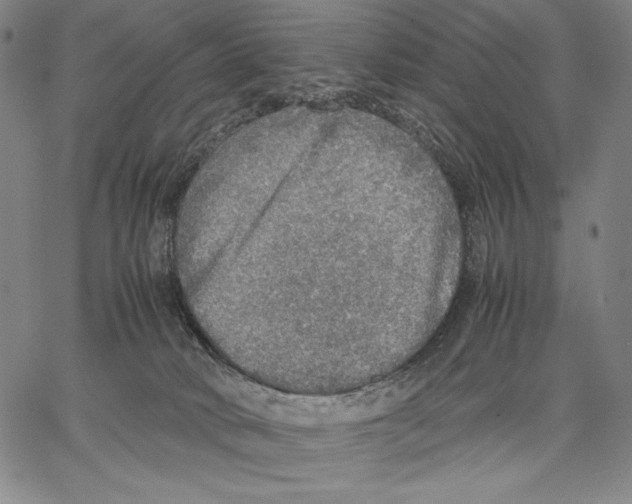 X0000067380034200604211619