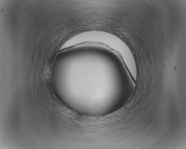 X0000067380037200604211619